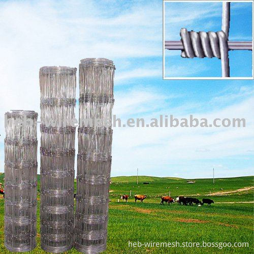 Wire Mesh Fence
